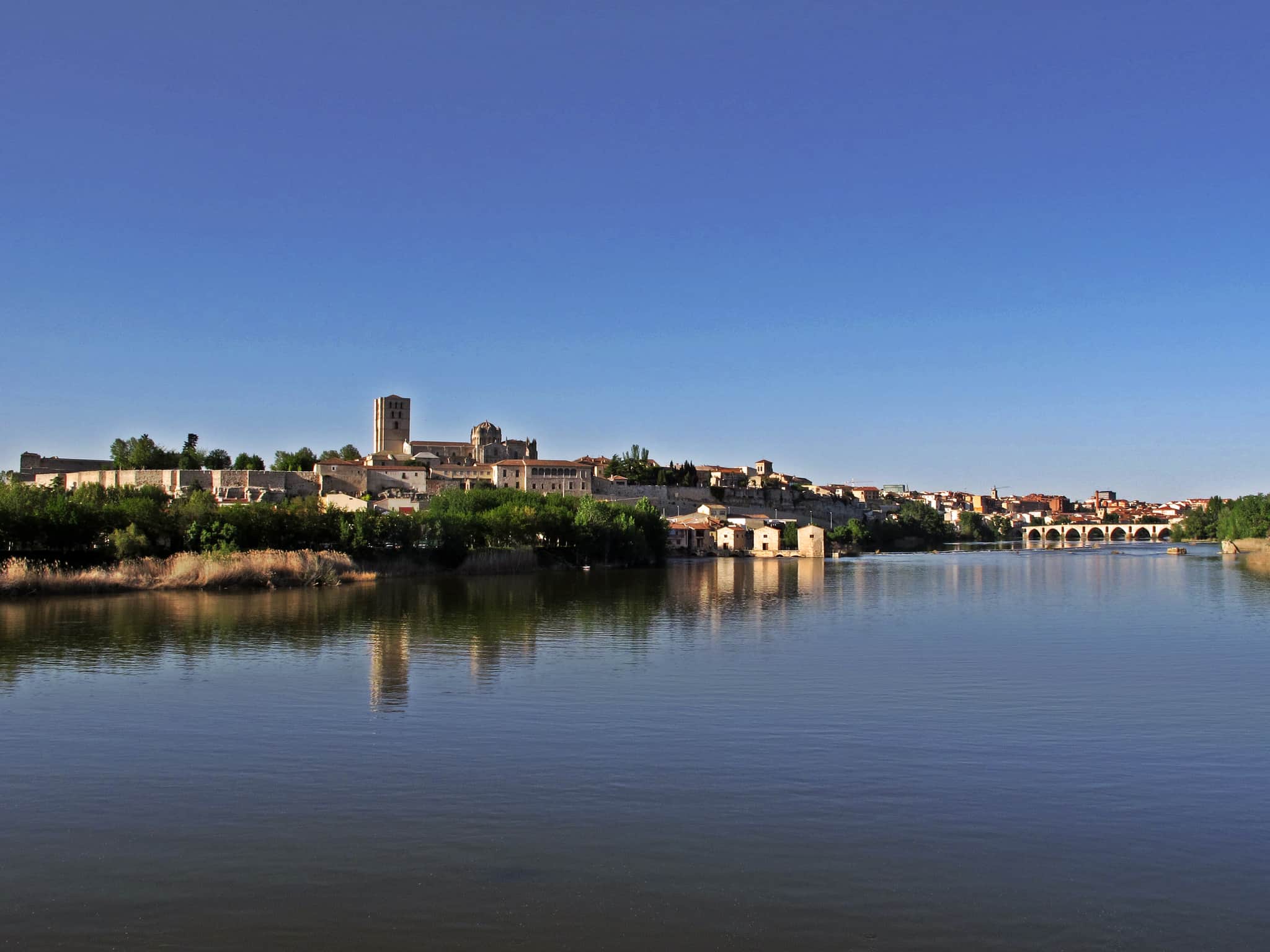 Zamora
