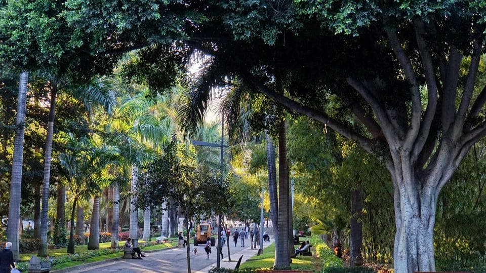 Rambla de Santa Cruz en Santa Cruz De Tenerife