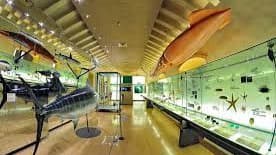Museum of Nature and Man en Santa Cruz De Tenerife