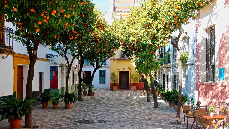 Santa Cruz de Sevilla en Sevilla