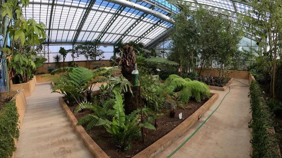 Botanical Garden of Castilla-La Mancha en Albacete