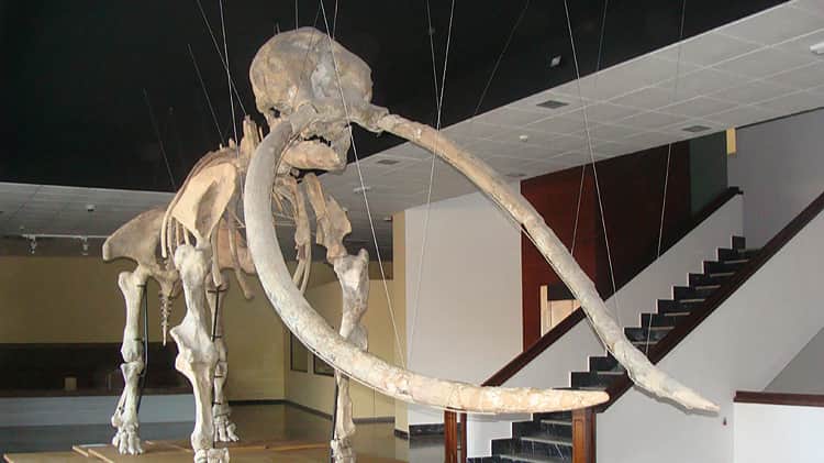 Provincial Museum of Ciudad Real