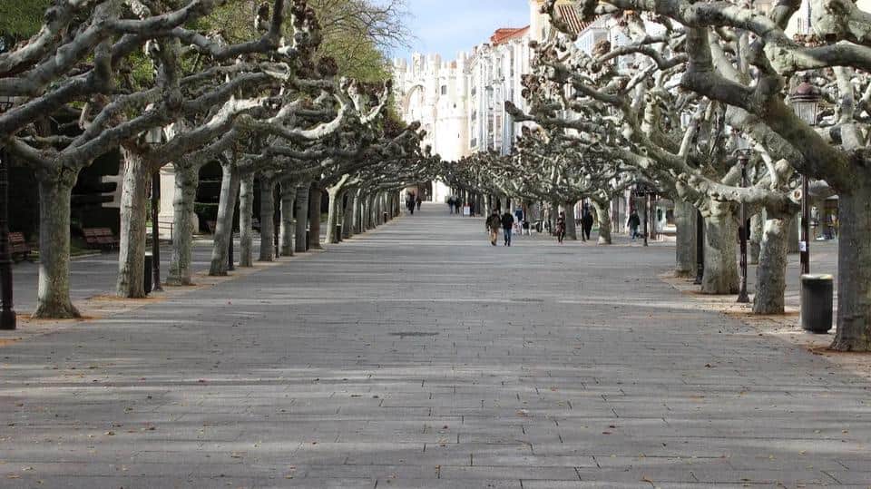 Burgos Espolón Walk