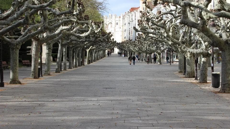Burgos Espolón Walk en Burgos