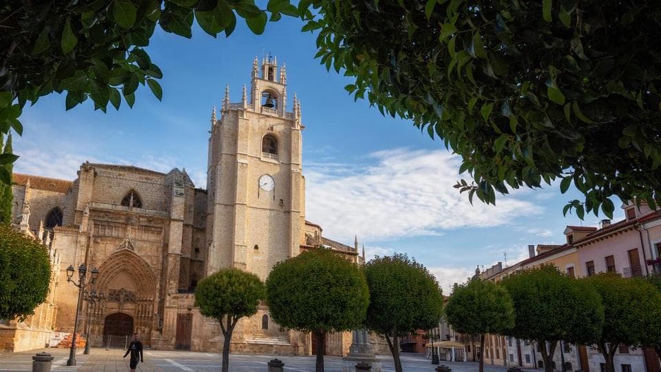 Cathedral of San Antolín of Palencia en Palencia